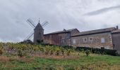 Randonnée Marche Chiroubles - Itinérant Beaujolais rouge étape 5 Chiroubles- Foretal - Photo 8