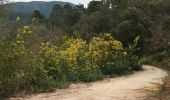 Trail On foot Roquebrune-sur-Argens - Lac des Clos-Roquebrune/Argens-01-03-23 - Photo 8