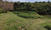 Tocht Andere activiteiten Unknown - Visite de la plantation de thé Boseong  - Photo 2