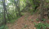 Trail On foot Bondone - IT-107 - Photo 10