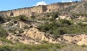 Tocht Paardrijden Arguedas - Bardenas jour 7 - Photo 3