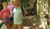 Excursión Senderismo Montauroux - Les gorges de la Siagne et les chênes pluricentenaires - Photo 15