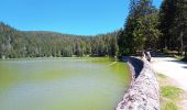 Tocht Stappen Le Valtin - Col de la Schlucht - Lac  Vert (25/6/2020) - Photo 2