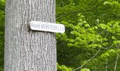 Percorso Marcia Ormoy-le-Davien - 040522 - Boucle Ormoy le Davien - Moulin de Wallu... - Photo 5