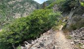Trail Walking Val-d'Aigoual - Cascade d'Orgon-15-06-22 - Photo 9
