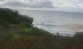Trail Nordic walking Sainte-Anne - Fond grand ma  modette le littoral  - Photo 11