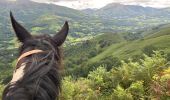 Trail Horseback riding Baztan - Elizondo - Urdax - Photo 14