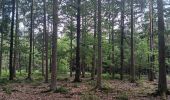 Trail Walking Theux - entre la ferme st Remacle et Hodbomont - Photo 2
