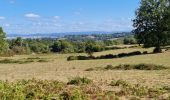 Tocht Stappen Jourgnac - puy de banneix  - Photo 1