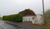 Percorso A piedi Waterford City Metropolitan District - Coast Walk, and road return - Photo 4