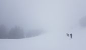 Percorso Racchette da neve Lans-en-Vercors - Pas de  l Ours, Pas de Bellecombe par la crête de la forêt de Guyney - Photo 1
