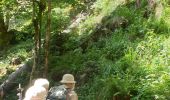 Tour Wandern Le Valtin - Route des Roches. Schlucht-Hohneck - Photo 13