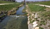 Randonnée Marche Saint-Julien-en-Genevois - Le long de l'Aire (Départ Thairy) - Photo 8