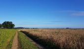 Trail Walking Liège - Rocourt - Crisnee - Rocourt  - Photo 4