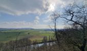 Tour Wandern Houyet - rando custinne 8 /03/2021 - Photo 6