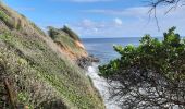 Tocht Stappen Le Lorrain - Boucle Dorival, Crabière, Bon Repos, Man Ti-Fre, Savon - Photo 6