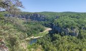 Excursión Senderismo Berrias-et-Casteljau - Bois de Paiolive Gorges de Chassezac - Photo 1