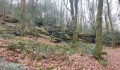 Trail Walking Camors - PR_56_Camors_BA_02_L-Eau_Circuit1b_20230218 - Photo 2