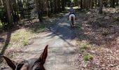 Trail Horseback riding Florenville - Les Epioux  - Photo 15