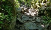 Trail Walking Le Puy-en-Velay - Chemin de Stenvenson 1 - Photo 16