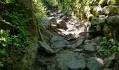 Tocht Stappen Le Puy-en-Velay - Chemin de Stenvenson 1 - Photo 16