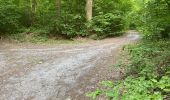 Trail Mountain bike Ormoy-le-Davien - Ormoy le Davien - Rouville en VTT - Photo 8