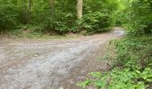 Tocht Mountainbike Ormoy-le-Davien - Ormoy le Davien - Rouville en VTT - Photo 8