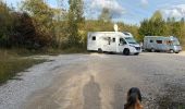 Trail Walking Marigny - Marigny lac de CHALAIN 39130 - Photo 1