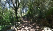 Trail On foot Antas - Trilho das Cangostas - Photo 10