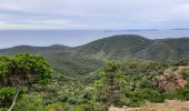 Excursión Senderismo Cavalaire-sur-Mer - rando avec serge et Ibrahim   le Pradet e retour par bonporteau - Photo 4