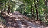 Tour Mountainbike Mormoiron - Plaine de l'escalier / Enduro Rouge - Photo 2