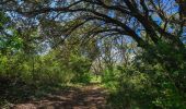 Tour Wandern Montboucher-sur-Jabron - Montboucher-Bois de Lion 10km - Photo 2