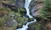 Tour Wandern Triberg im Schwarzwald - Cascade de Triberg 30.10.22 - Photo 3