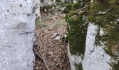 Trail Walking Solliès-Toucas - Siou Blanc - Photo 14