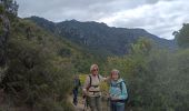 Trail Walking Saint-Jean-de-Buèges - St Jean de Buèges  - Photo 15
