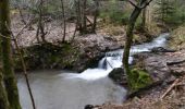 Tour Wandern Sprimont - 20240212 - Banneux 7.1 Km - Photo 8