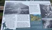 Trail Walking Cauterets - Sentier du Lisey - Photo 10