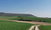 Randonnée Marche Mesnières-en-Bray - mesnieres croixdalle - Photo 1