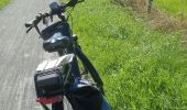 Trail Electric bike Ghent - Vlaamse Ardennen - Photo 7