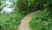 Tocht Te voet Malvern Hills - Abberley Circular Walk - Photo 3