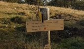 Tocht Stappen Moulinet - Bois Noir au départ de Cabanes Vieilles - Photo 7