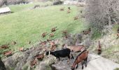 Tocht Stappen Saint-Pons - Saint pons - Photo 19