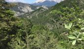 Trail Mountain bike Veynes - Cols de Villauret et des Priourets - Photo 6