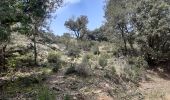 Trail Walking Maureillas-las-Illas - dolmen de la Siureda via tour Bel Ull - Photo 6
