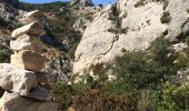 Trail Walking Robion - Robion les taillades rochers de baude  - Photo 11