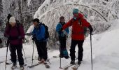 Tocht Ski randonnée Saint-Pierre-de-Chartreuse - arguille - Photo 1