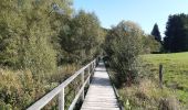 Excursión Senderismo Bütgenbach - butchenbach tour du lac - Photo 12