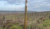 Excursión Senderismo Charly-sur-Marne - Gr 15 janvier 2025 - Photo 11
