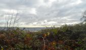 Trail Walking Oissel - 20231128-les essarts cool - Photo 5