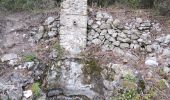 Trail Walking Le Revest-les-Eaux - Grottes de la Ripelle Mt Combe - Photo 11
